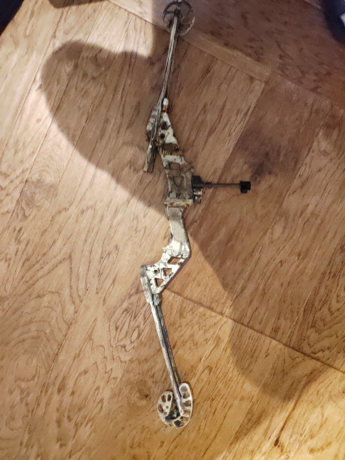 2 Compound Bows both Needs New String $100