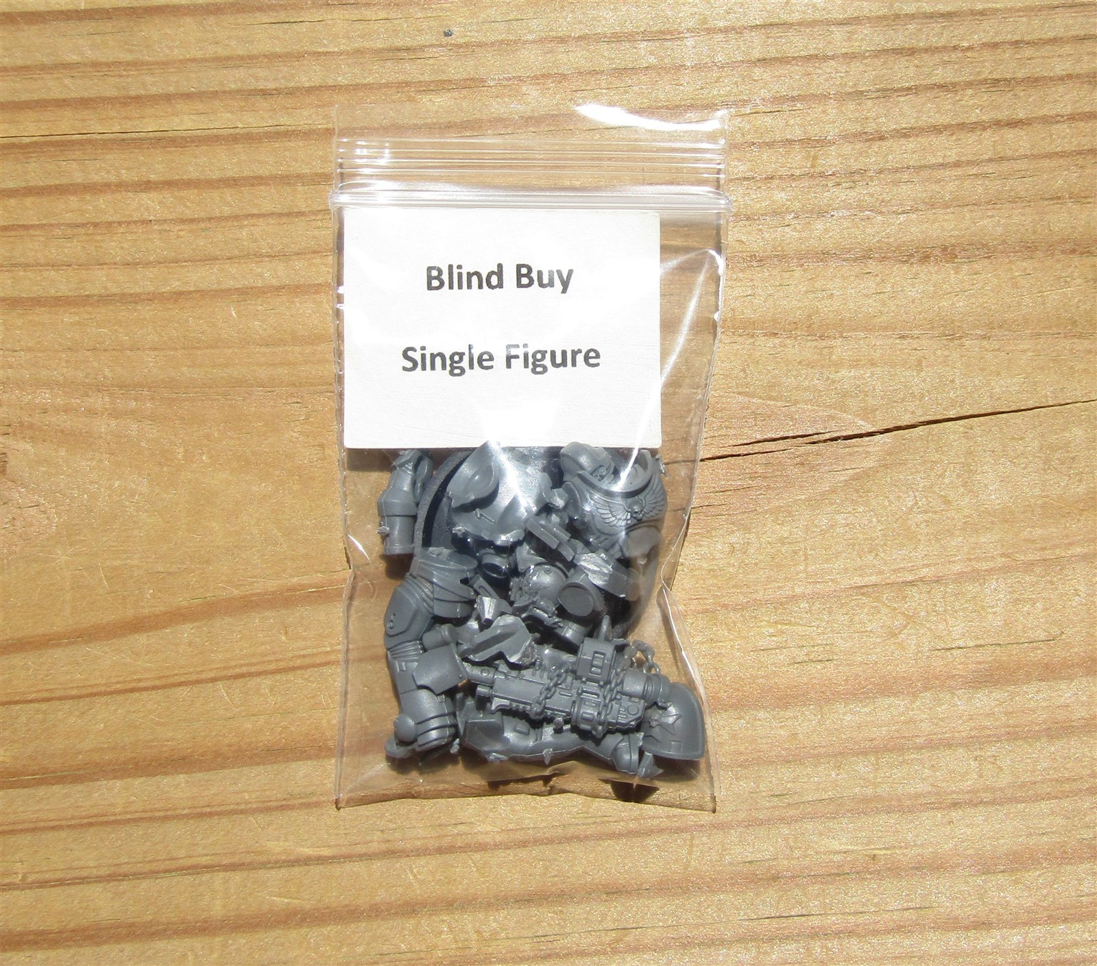 40K Black Templars _Primaris Crusader Initiate w/ Bolt Rifle BlindBuySingleFig