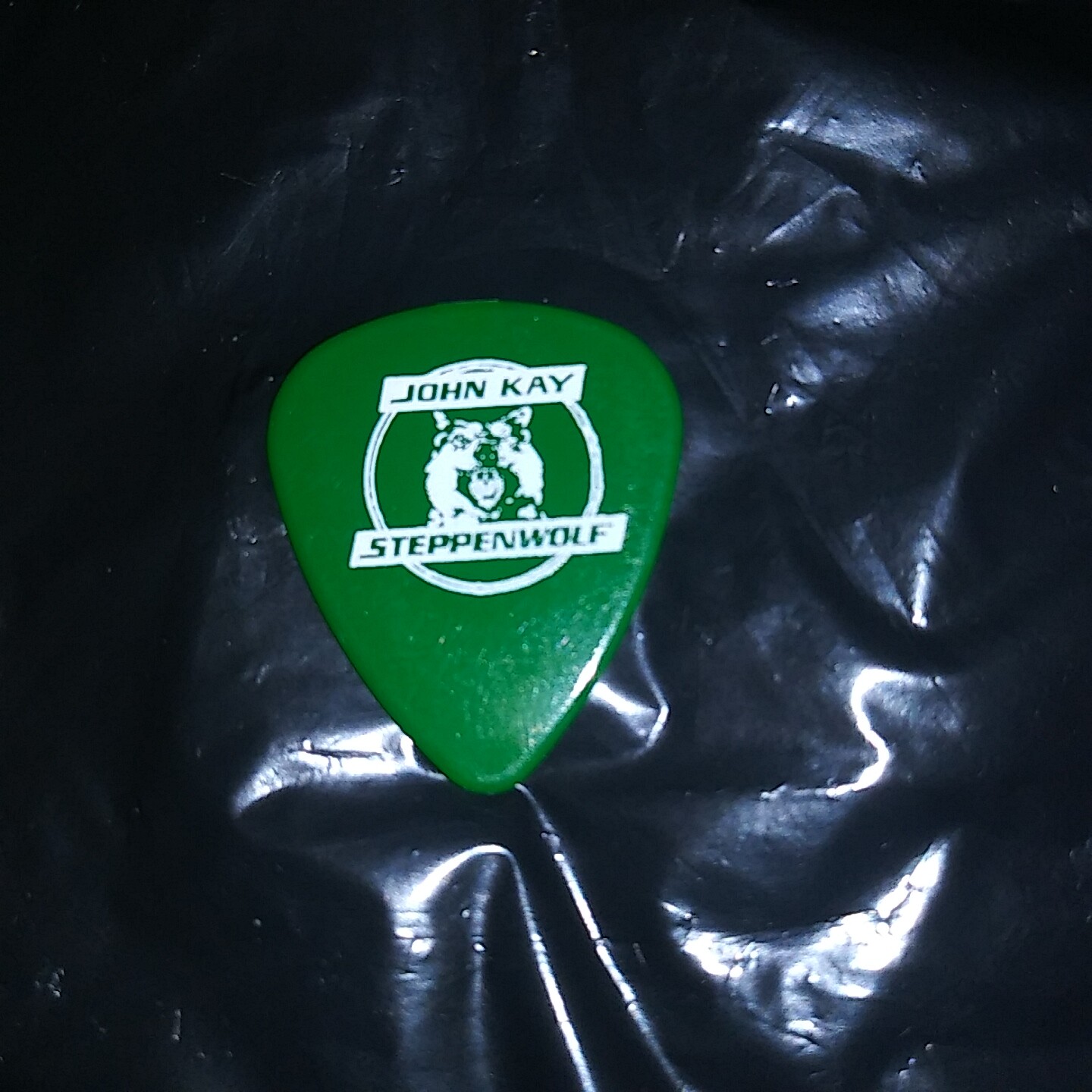 STEPPENWOLF Steppen Wolf John Kay RaRe Old Concert Tour Green GUITAR PICK