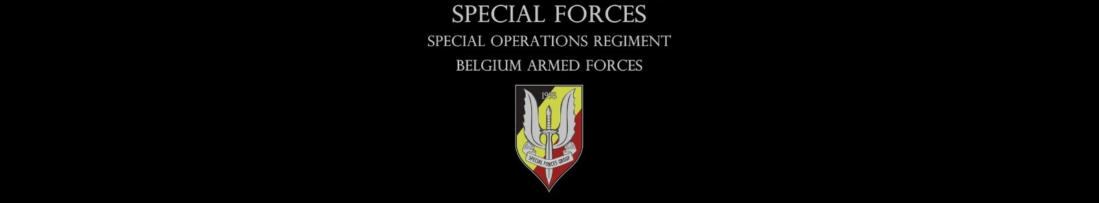 BELGIAN SPECIAL FORCES GROUP 3 PARA SPECIAL OPERATIONS REGIMENT SOR vêlkrö PATCH