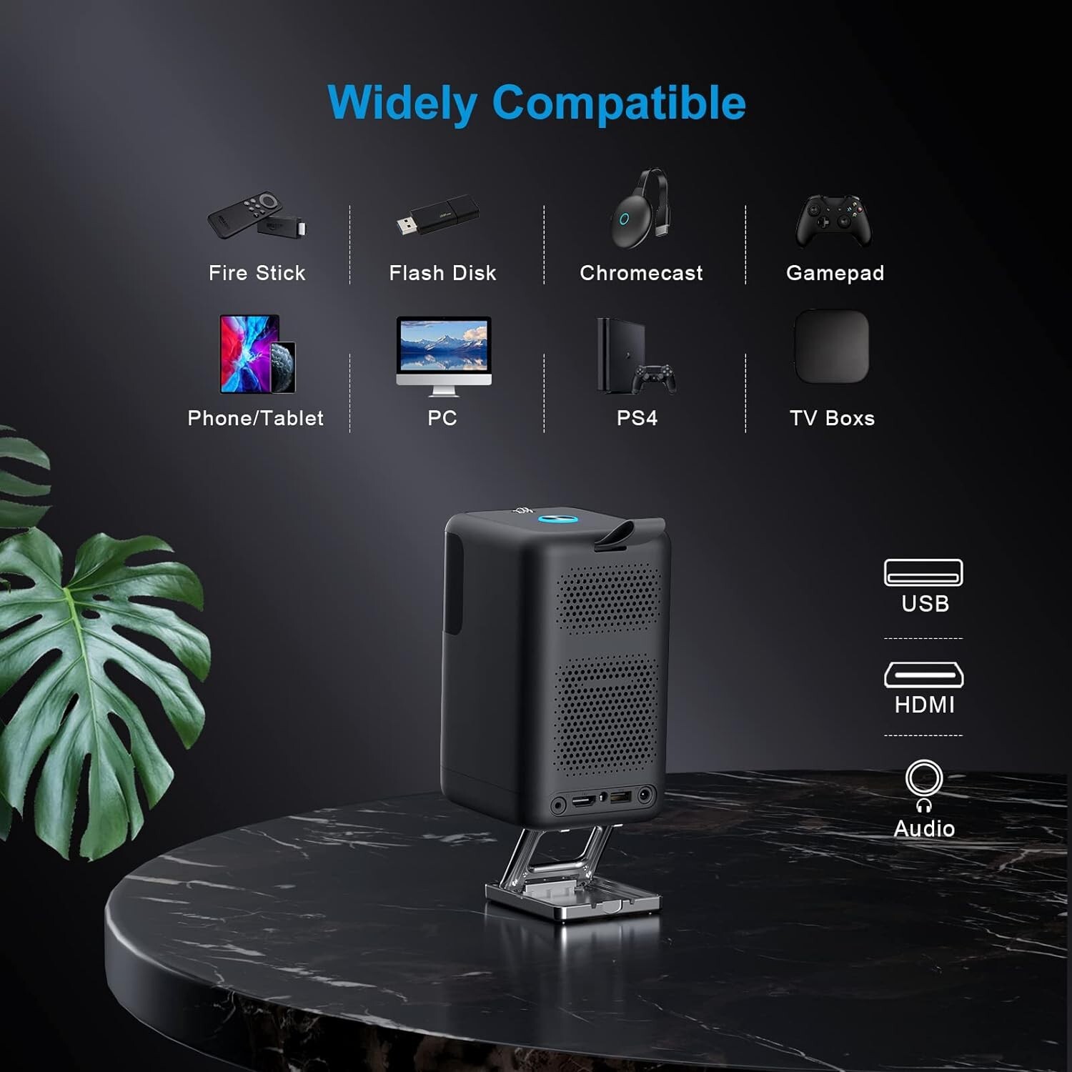 Leapwell Outdoor Wifi Projector Black