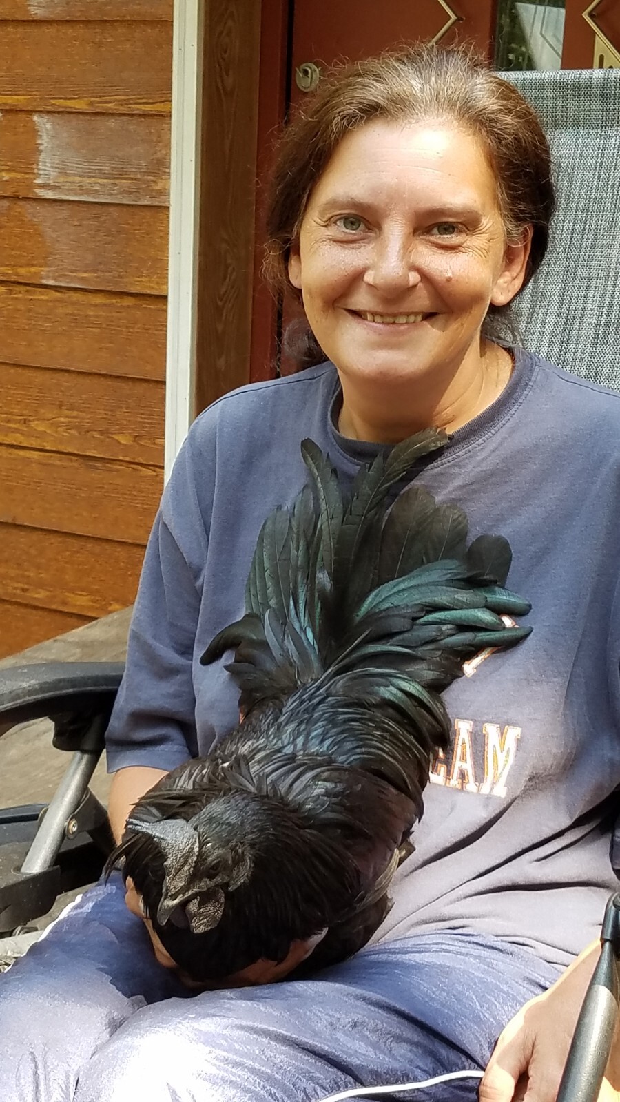 5+ Ayam Cemani Hatching Eggs Free Shipping Total BLACK Award Winning Show Breed.