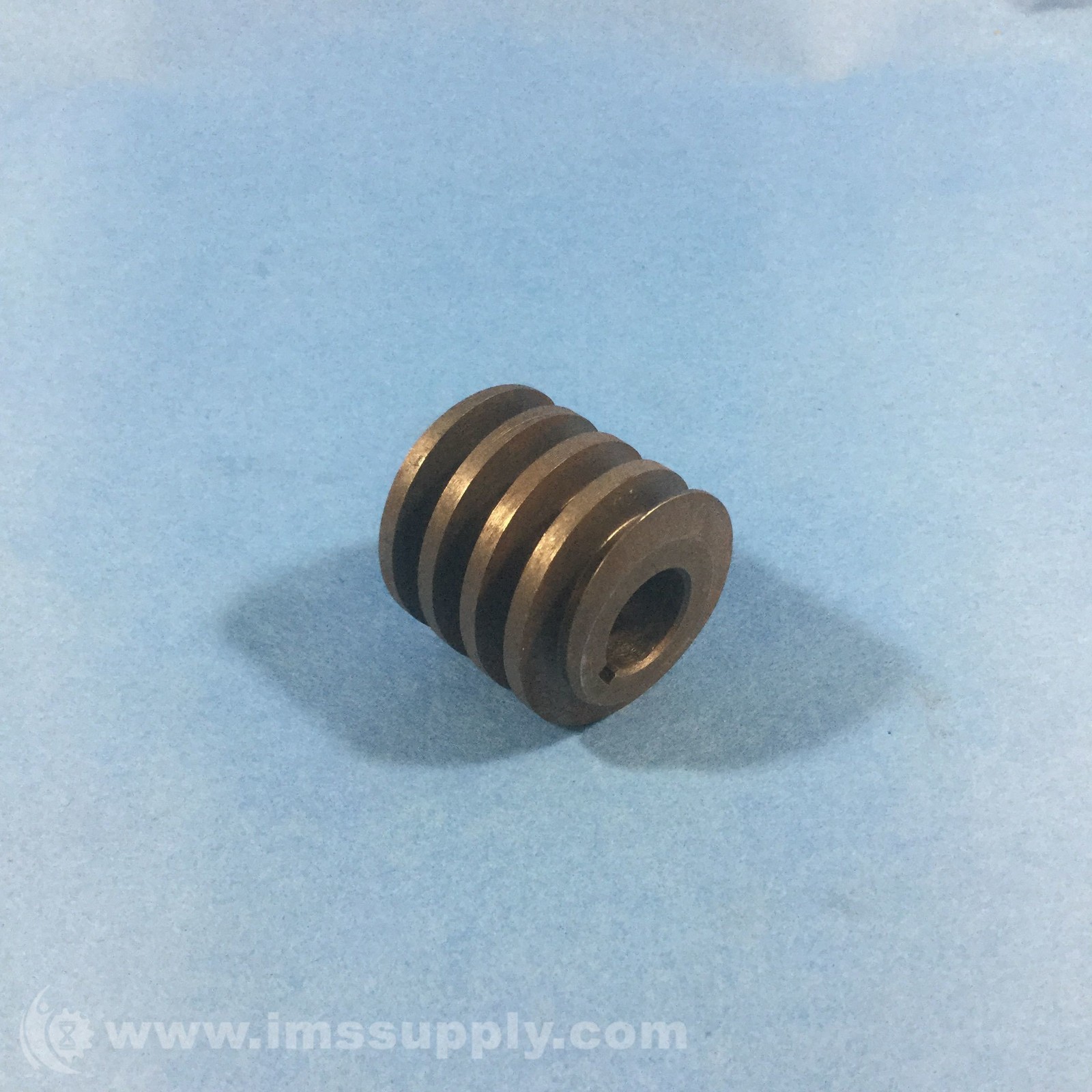 Binks 31-51 Worm Gear USIP