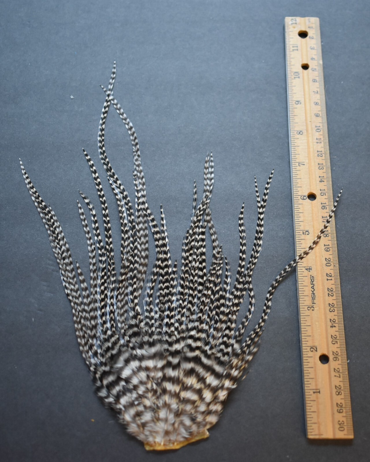 Lot 55,  Grizzly Whiting Farms Rooster Saddle Feather Piece Jewelry