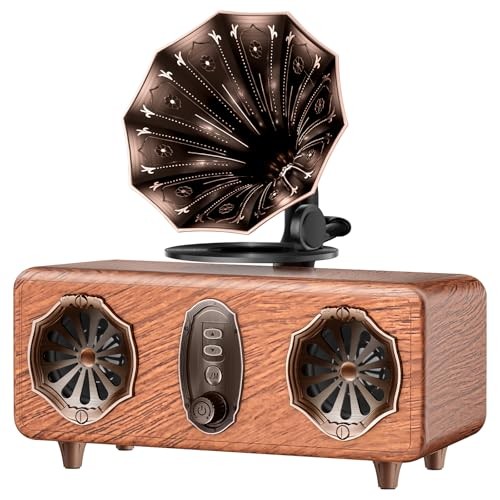 Retro Bluetooth Speaker Retro Radio with 5.4 Bluetooth Version, FM Radio,