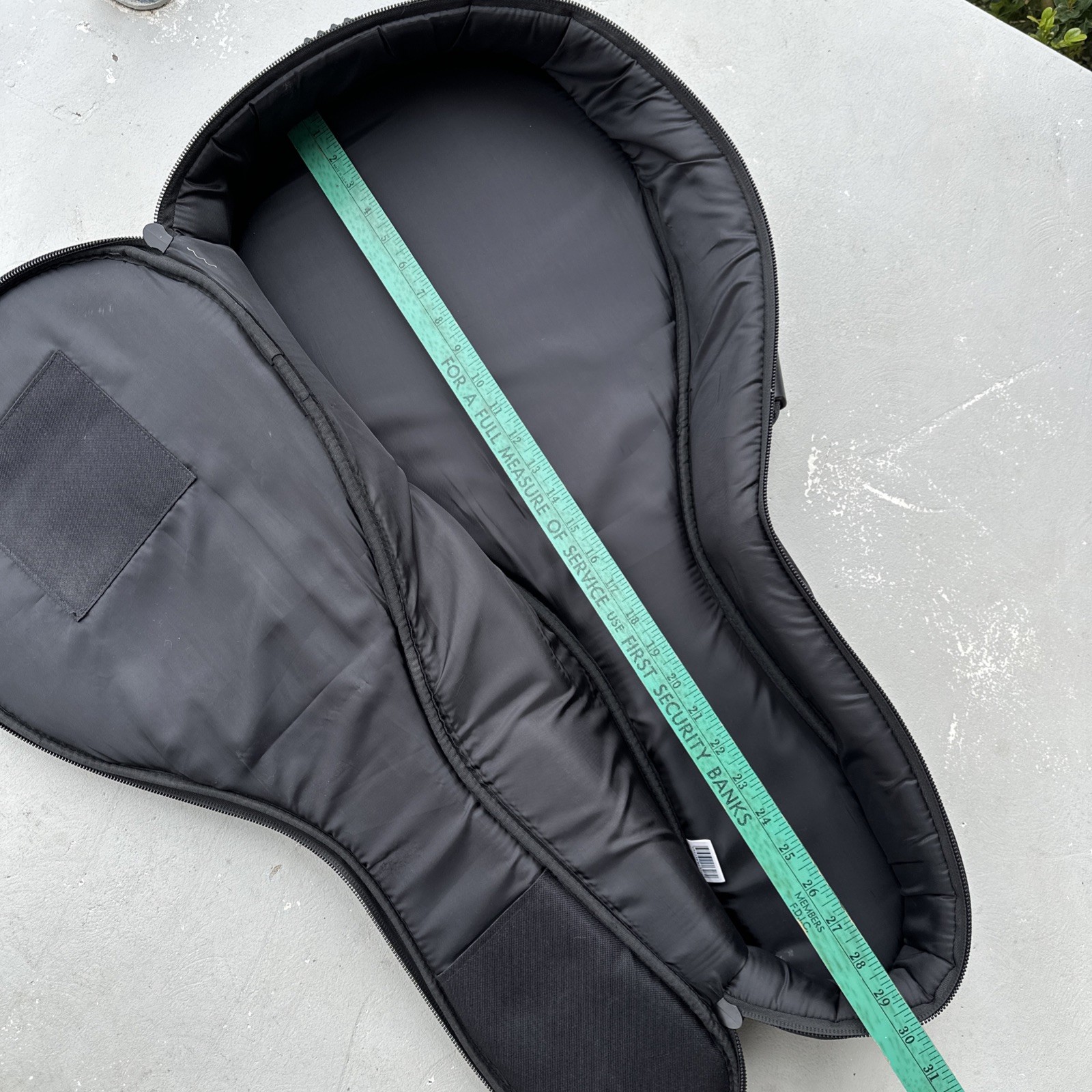 Roadrunner Mandolin Gig Bag