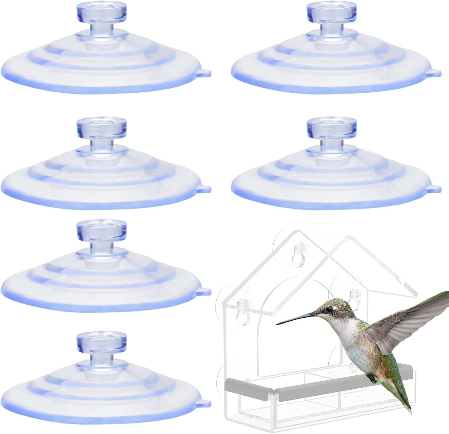 Replace The suction cups of bird feeder, cup transparent blue