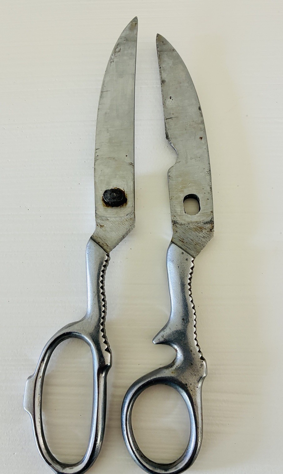 Vintage Hoffritz Poultry 8”Scissors Made in Italy