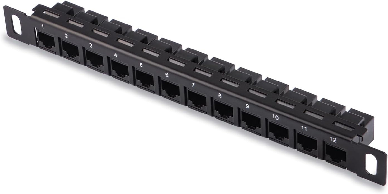 12 Port Patch Panel, 10Inch 0.5U CAT6 Network Patch Panel for Deskpi Rackmate T1