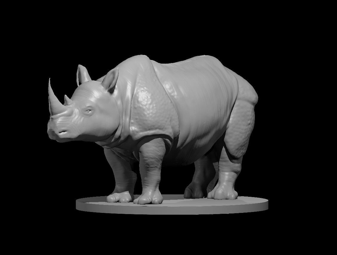 Rhinoceros Monster Manual 28mm Scale DND D&D Tabletop Mini