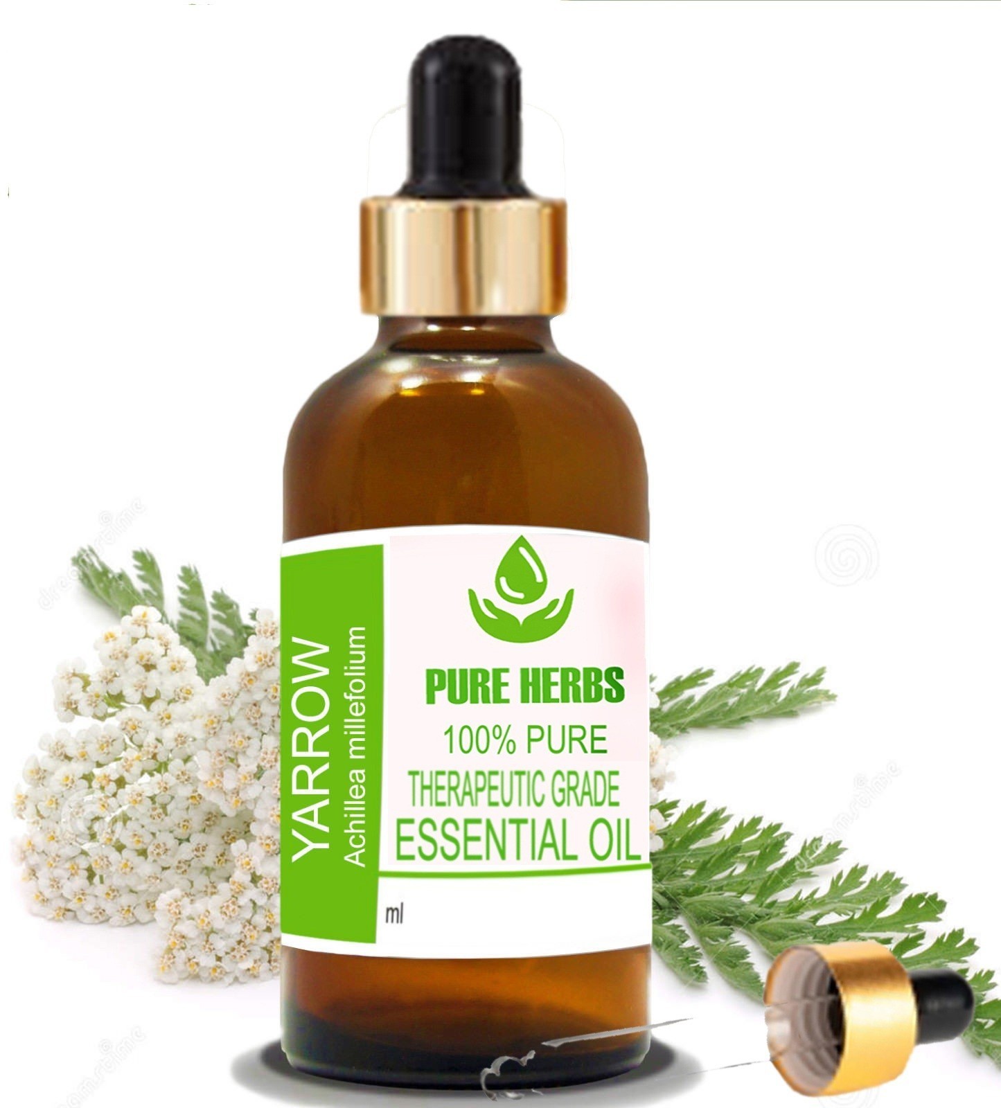 Pure Herbs Yarrow 100% Pure & Natural Achillea Millefolium Essential Oil PA911
