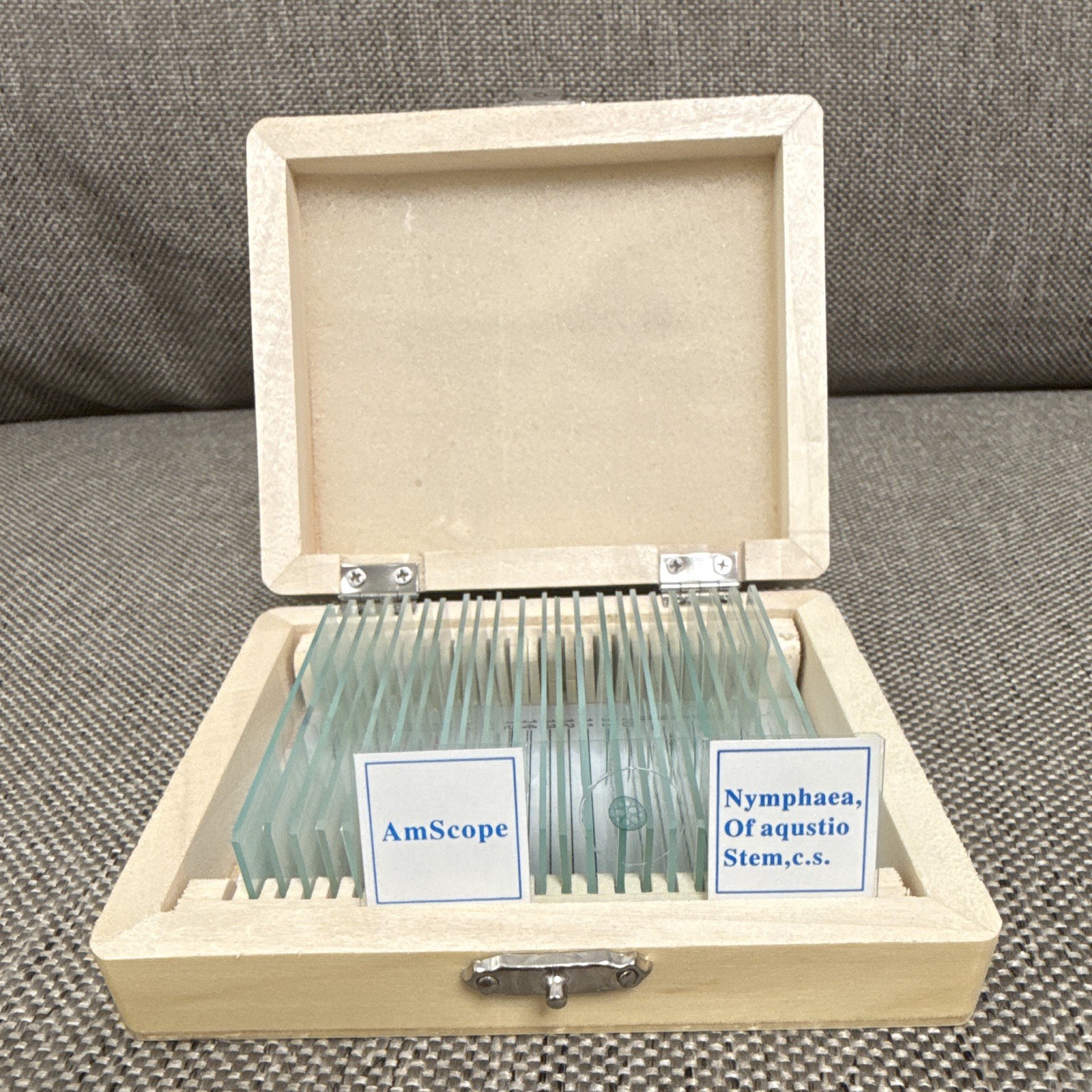 AmScope 24ct Prepared Microscope Glass Slides Set, Biological Lab, Wooden Case