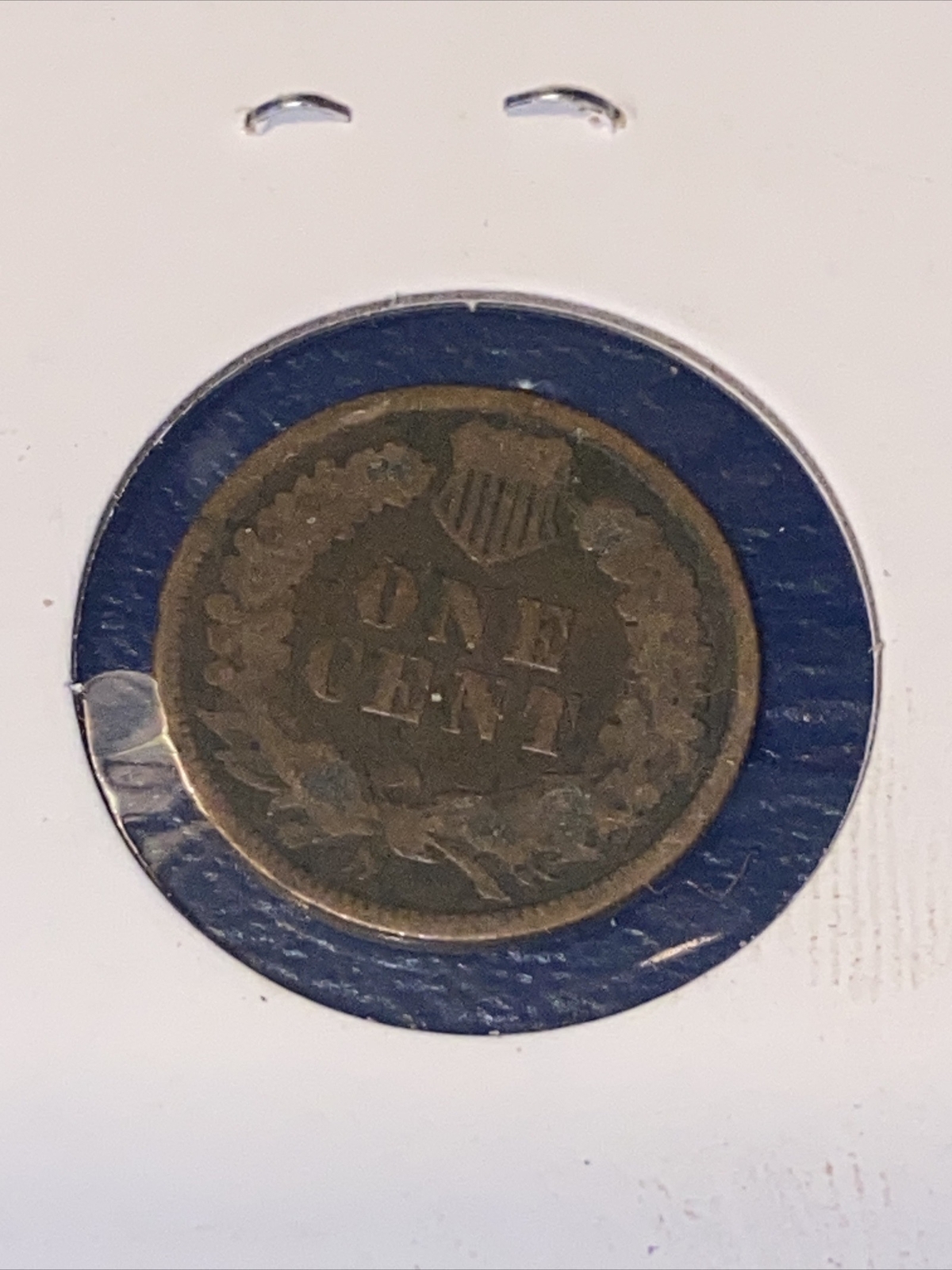1901 1C Indian Cent • #231127