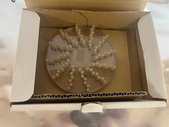 Disco LJLX-910013-0 Brush. NOS