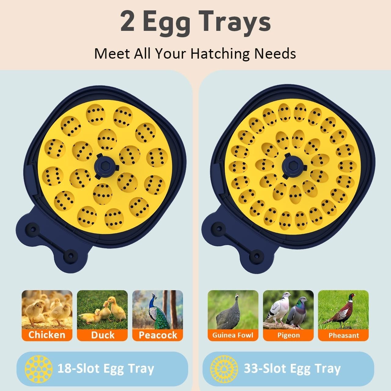 18 Egg Incubator with Auto Turning, Digital Temp & Humidity Control, Egg Candler