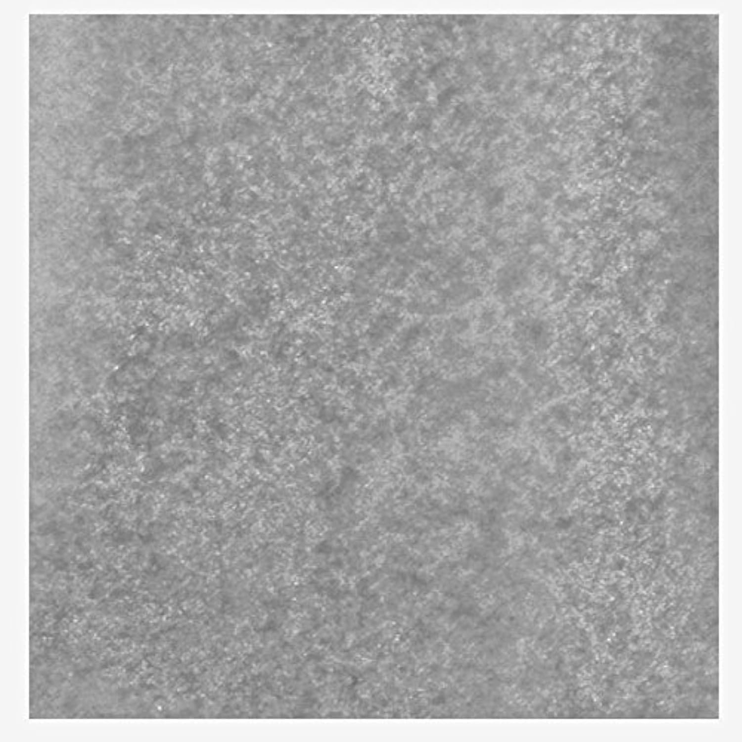 Gray Tissue Parade Float Pomps Pack of 300-5-1/2 Inch Square Sheets, Parade Floa