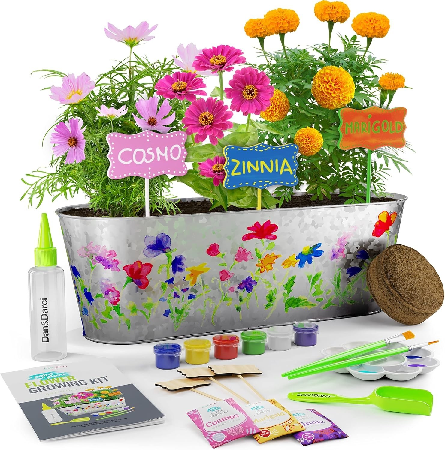 Paint & Plant Flower Growing Kit for Kids - Fun Gardening Kits - Gift Ideas |