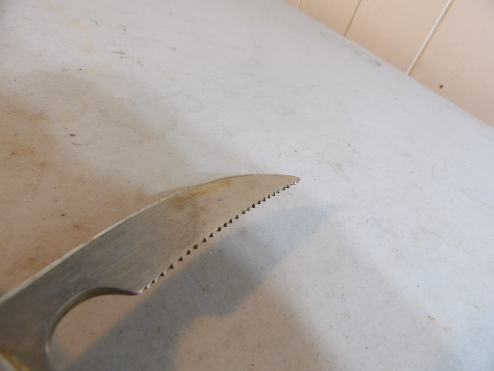 Drezack Poultry Shears