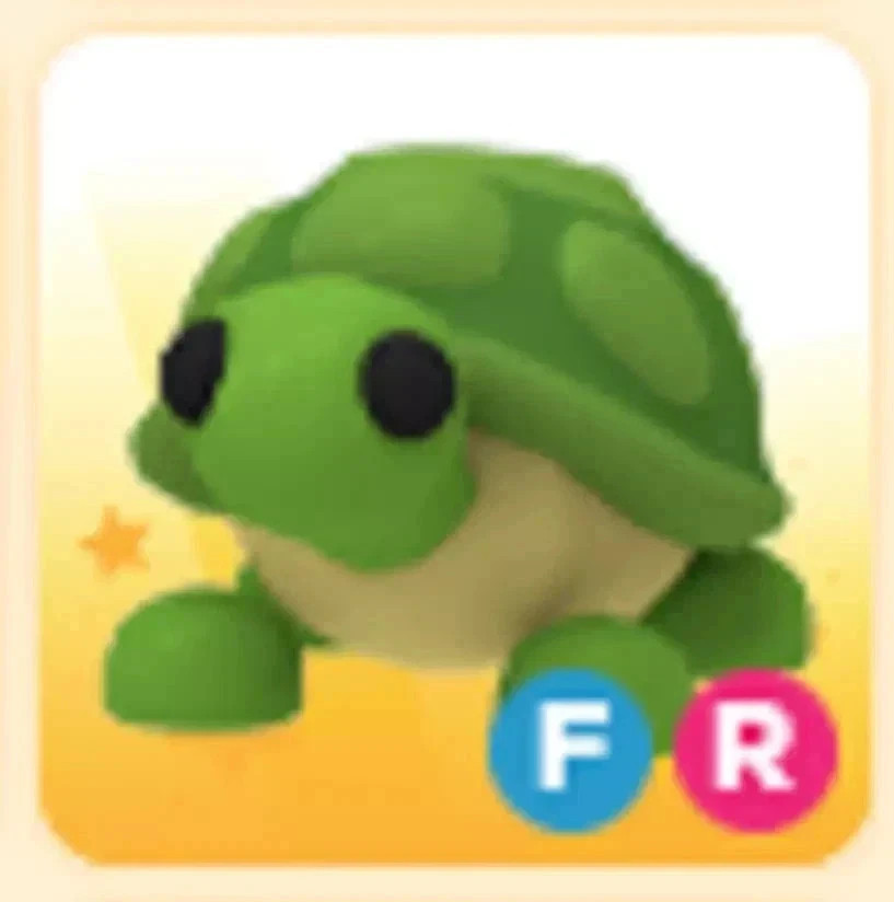 FR Turtle  | NFR | MFR | Adopt Now