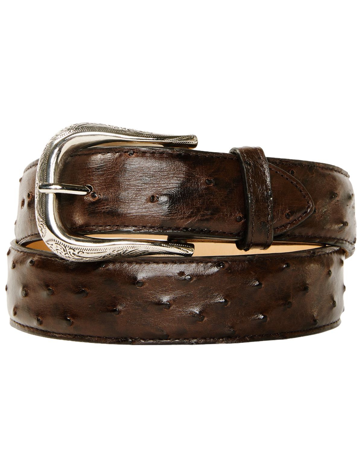 Cody James 1978&trade; Men's Exotic Full-Quill Ostrich Belt - BXAHO24BT2-DKBN