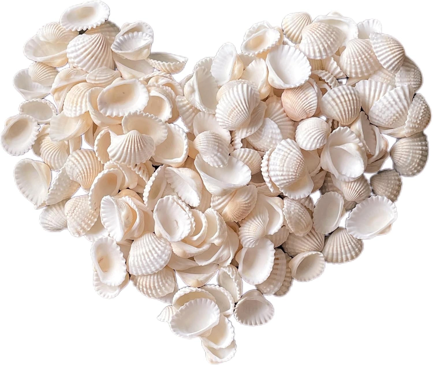 140Pcs Tiny Sea Shells - 0.8-1.2 inches Natural Small 0.8-1.2in, 140pcs-mini