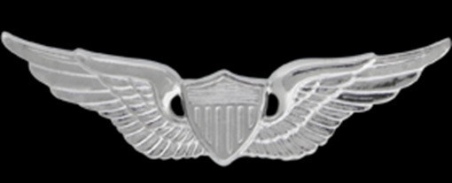 NS-301 Aviator Badge