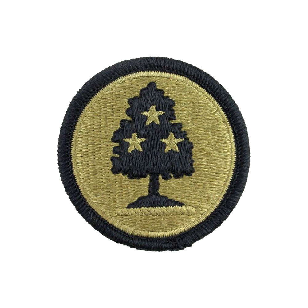 Tennessee National Guard OCP Patch (Military Issued)-Veteran Owned Business