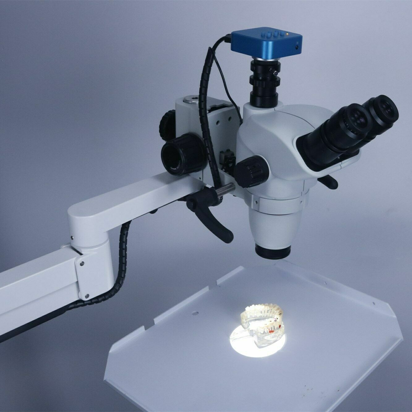 Dental Chair Unit Operating Microscope LED Endodontic Microscope with Camera