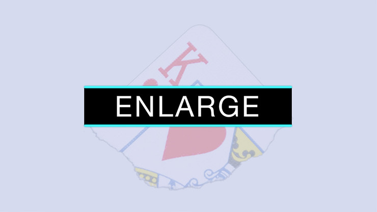 Enlarge (DVD and Gimmicks) by SansMinds - DVD