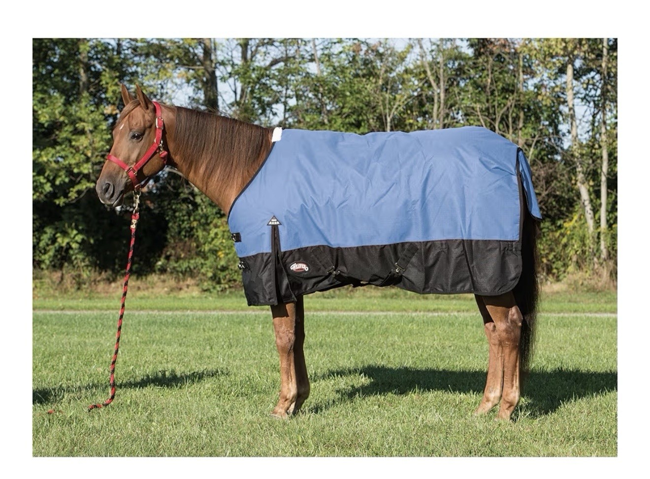 Weaver Leather Economy Turnout Horse Blanket - Waterproof Ripstop