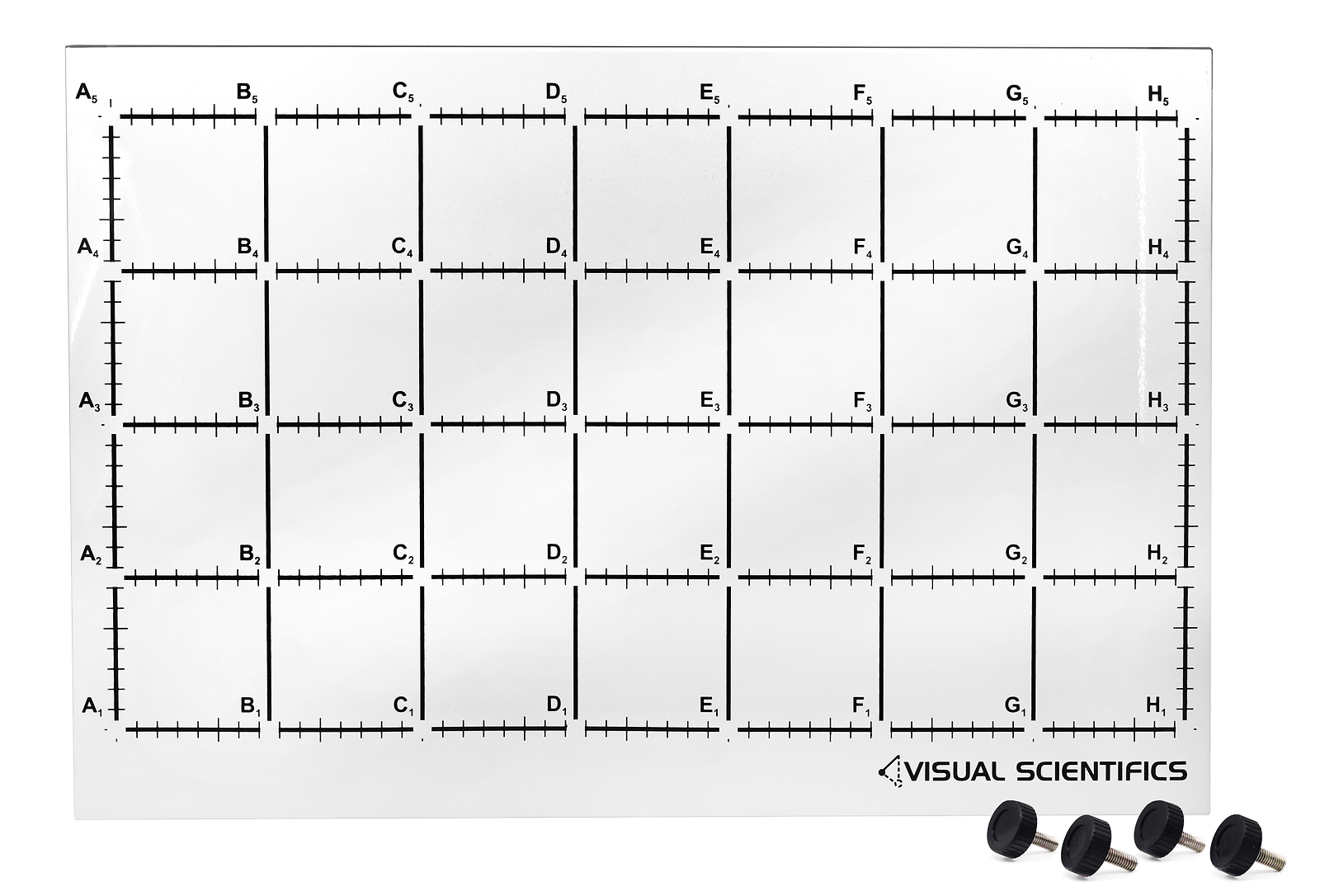 Magnetic Back Board - Visual Scientifics by Eisco