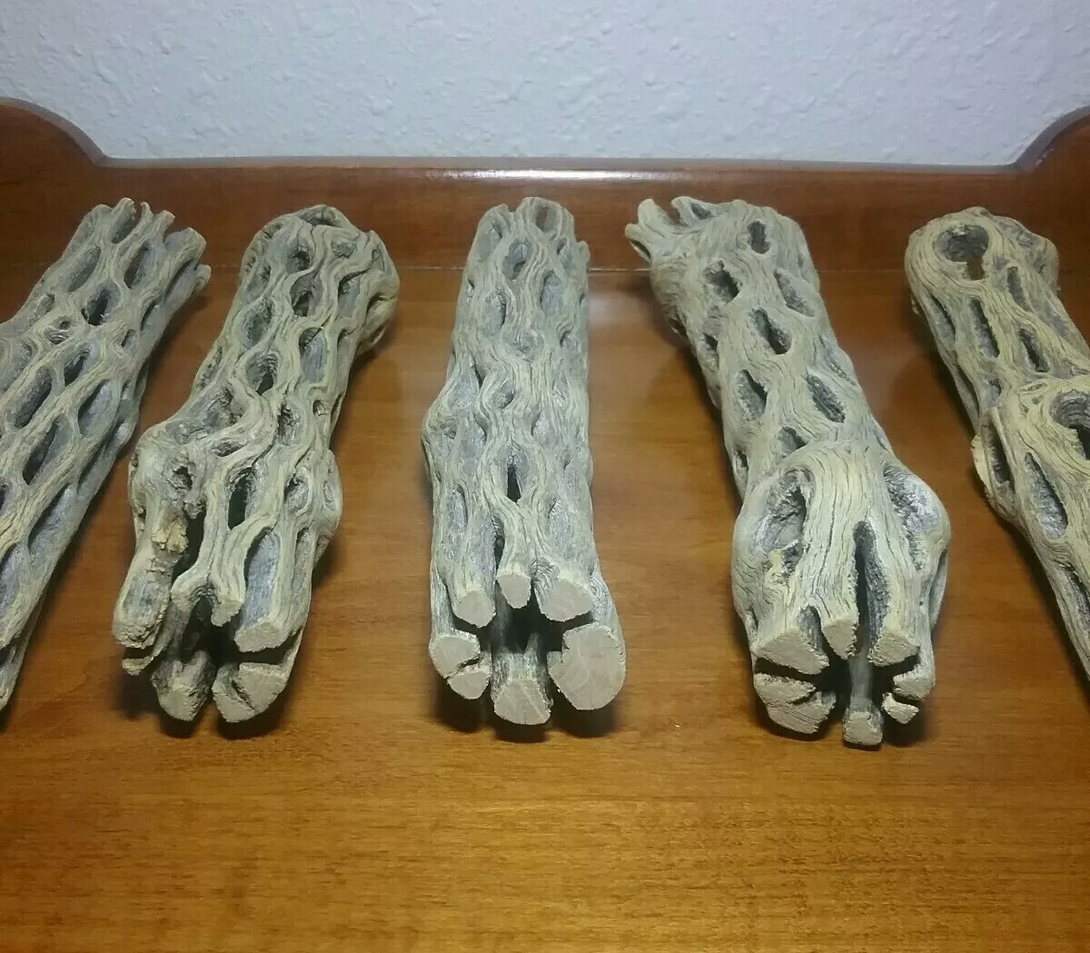 5 LARGE 6" inch CHOLLA Wood Cactus pieces | CLEANED! | Aquarium, Air Plants