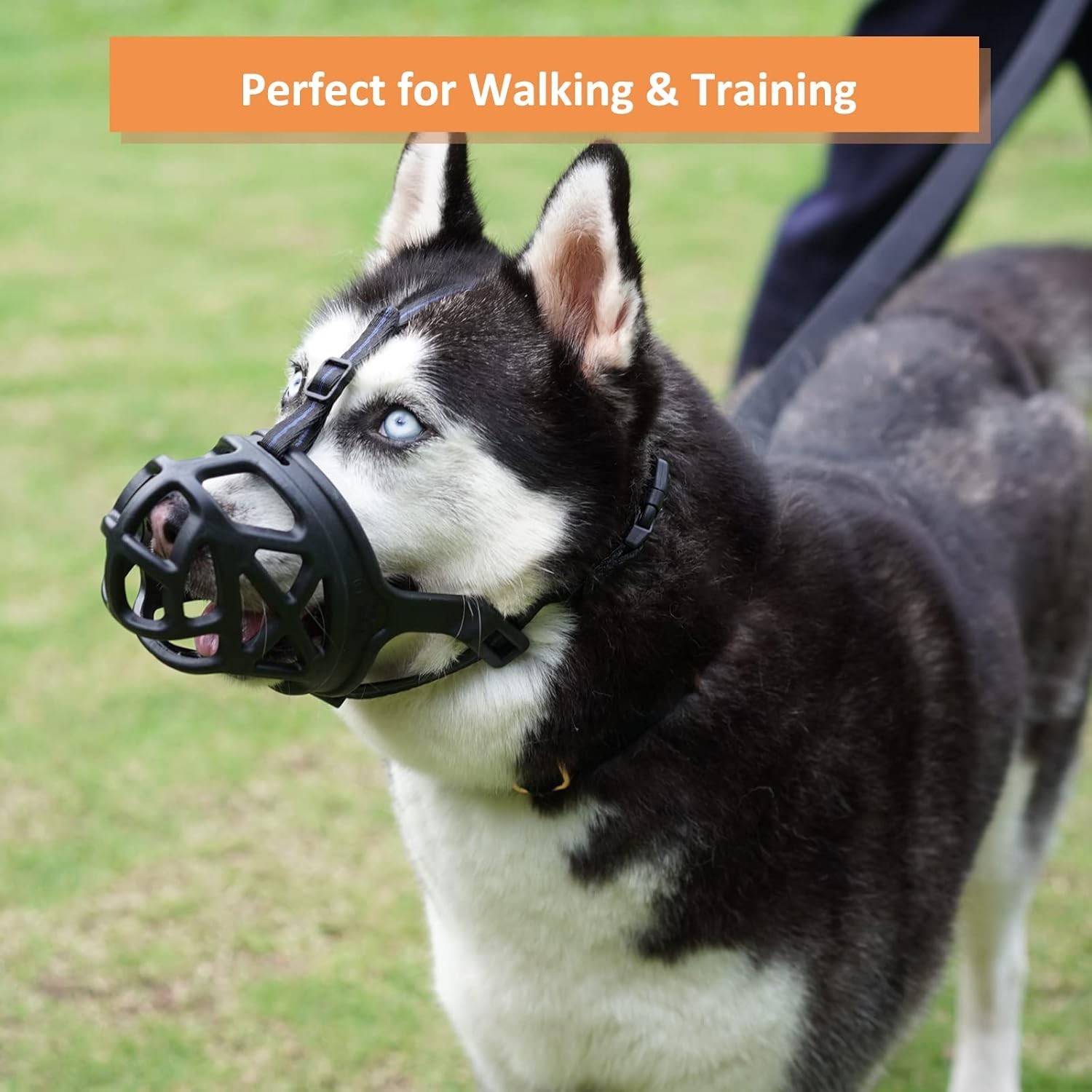 Basket Muzzle for Large Dogs, Humane Cage Design, Black