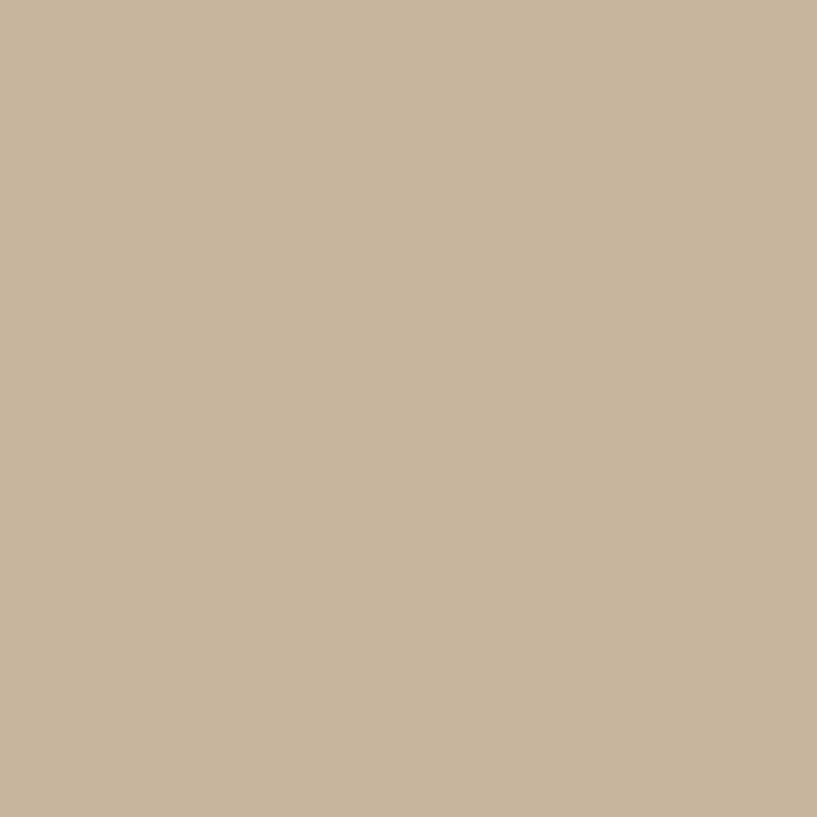 Kitchen Bath & Laundry Best Beige / Beige Eggshell Interior Paint W/ Primer