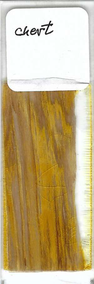 Chert Petrographic Microscope Slide