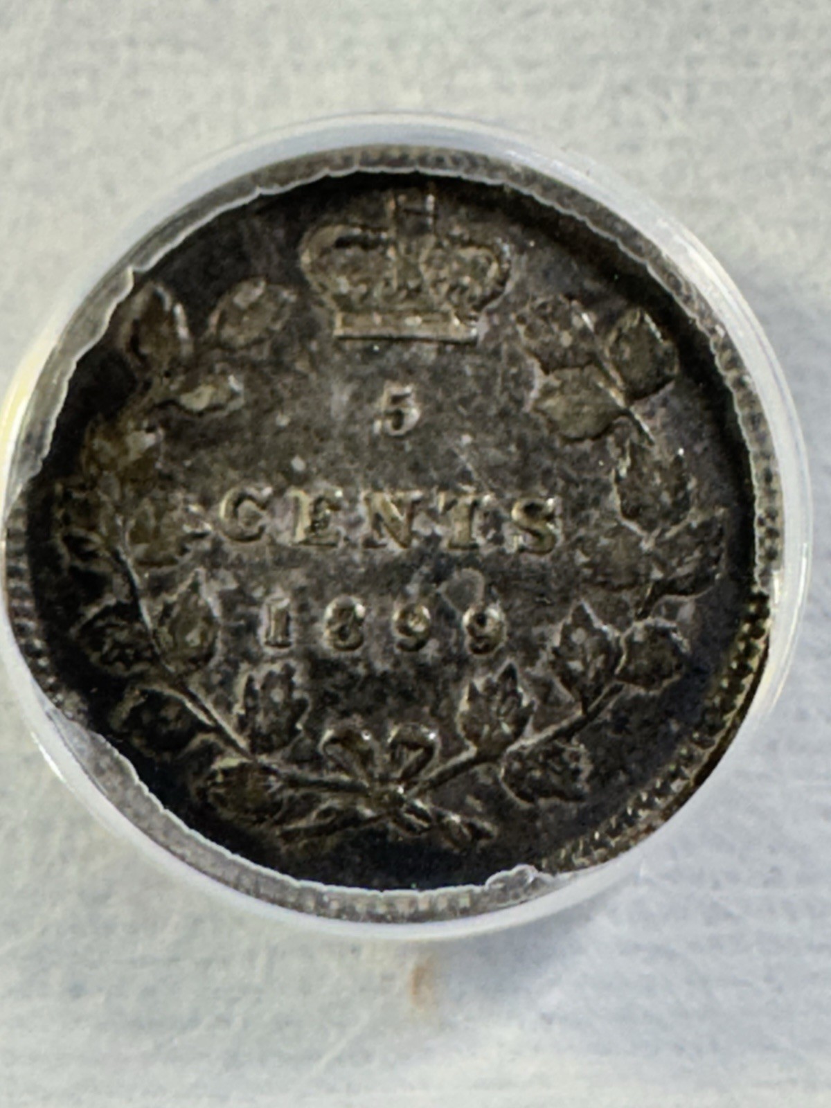 1899 Canada 5 Cents Small Silver Coin Graded VF 30 by ANACS