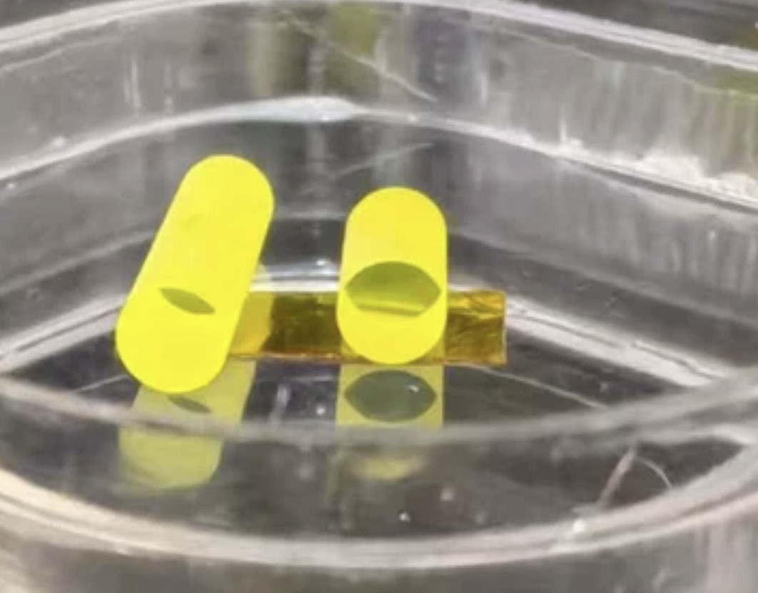 GAGG:Ce Scintillator Crystals