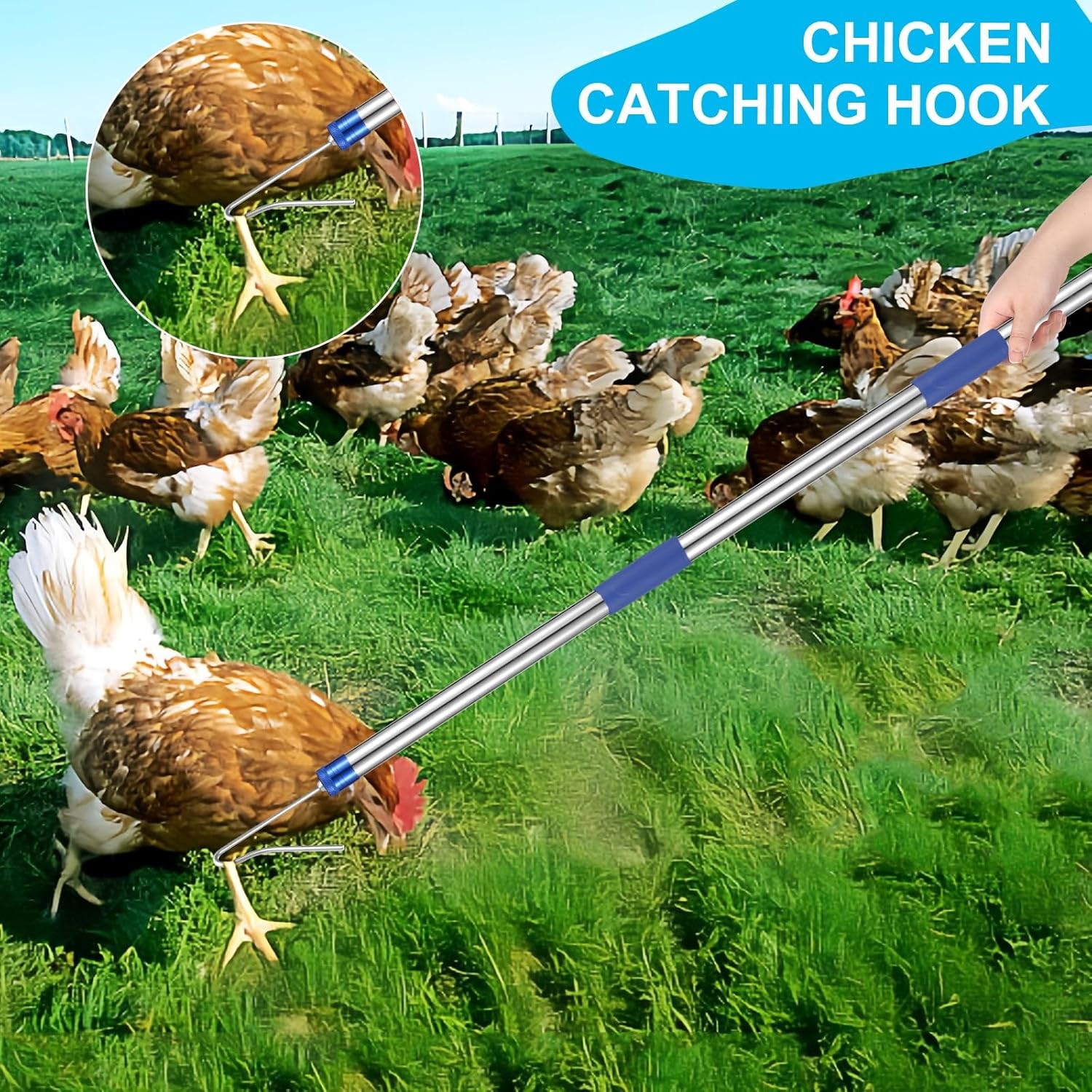 Chicken Catching Net Extendable from 33" to 75" Chicken Catcher Leg Hook | Anim