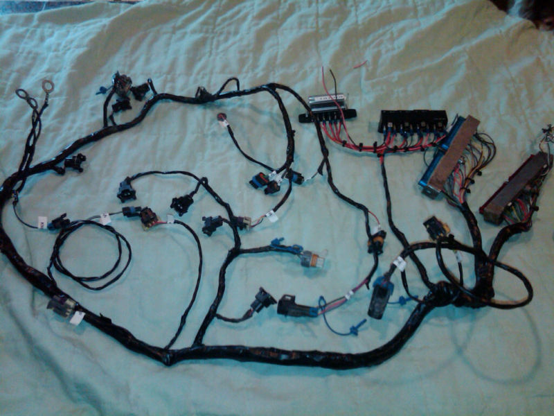 wiring harness rewire service ls1 ,ls2, 6.2,6.0,5.7,5.3,4.8,lt1, swap