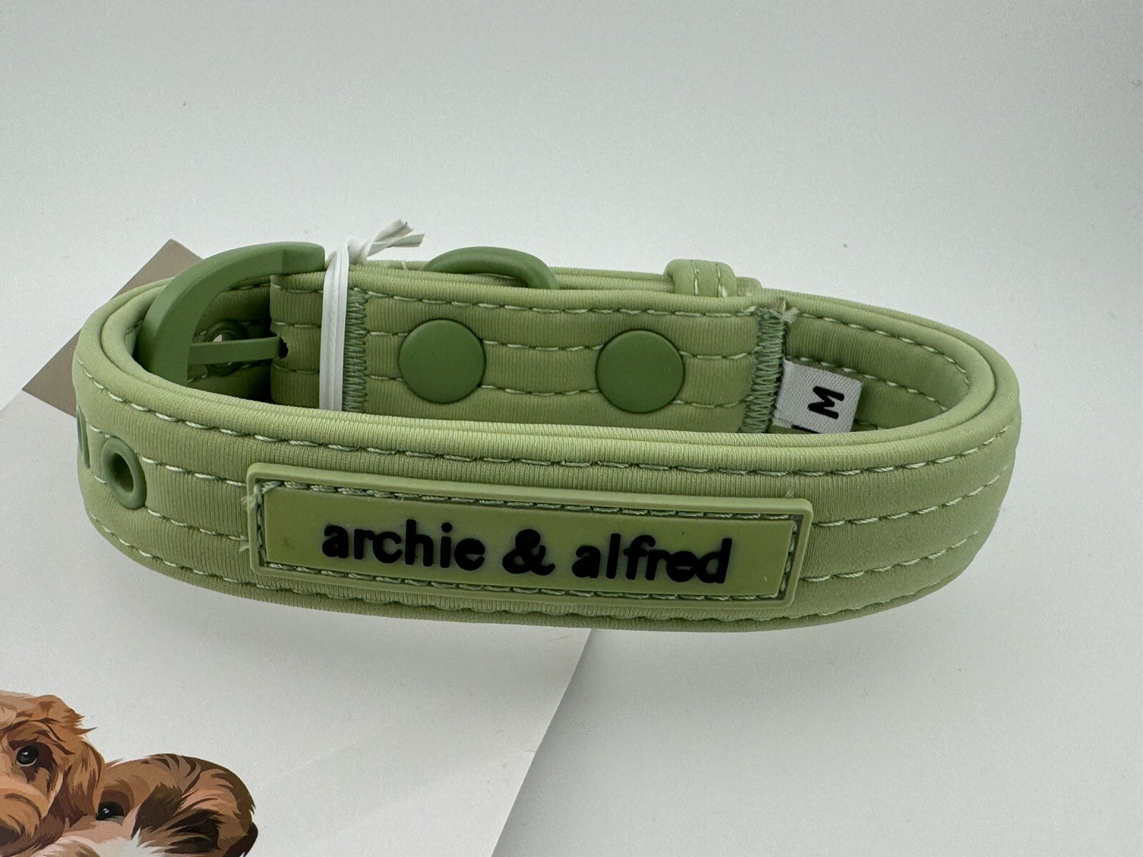 Archie & Alfred No Pull Adjustable Dog Harness And Matching Collar Medium Green