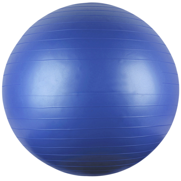ANIT-BURST Physio Balance Yoga Fitness 65cm Gym Exercise 26" Inflatable PE 9565