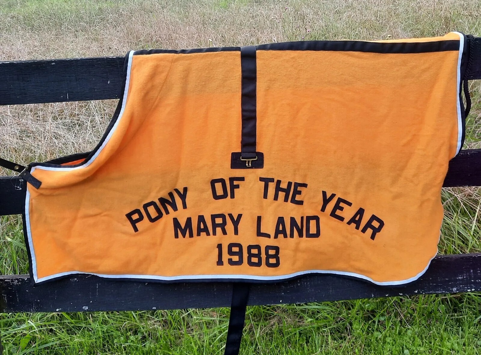 NOS CURVON 62" Peerless Wool Blend Gold Dress Sheet 1988 MARYLAND PONY OF YEAR