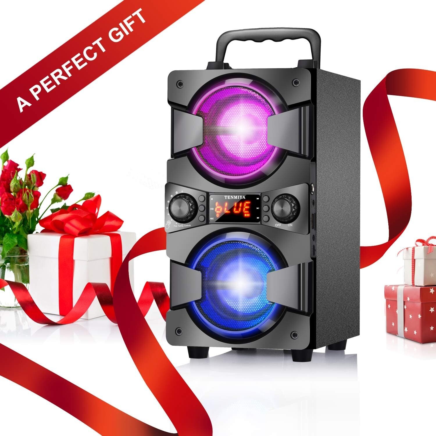 Karaoke Machine with Microphone ,Portable Bluetooth Speaker dual 3 inch subwofer