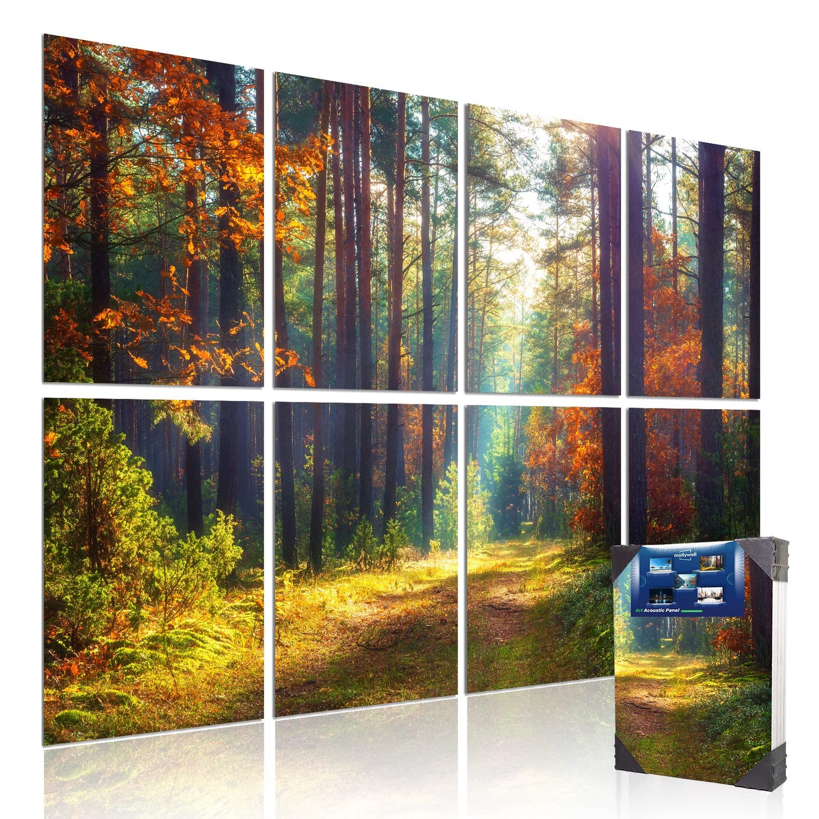 Mollywell Art Acoustic Panel | Large Size Soundproof Wall Art Decorative Paintin
