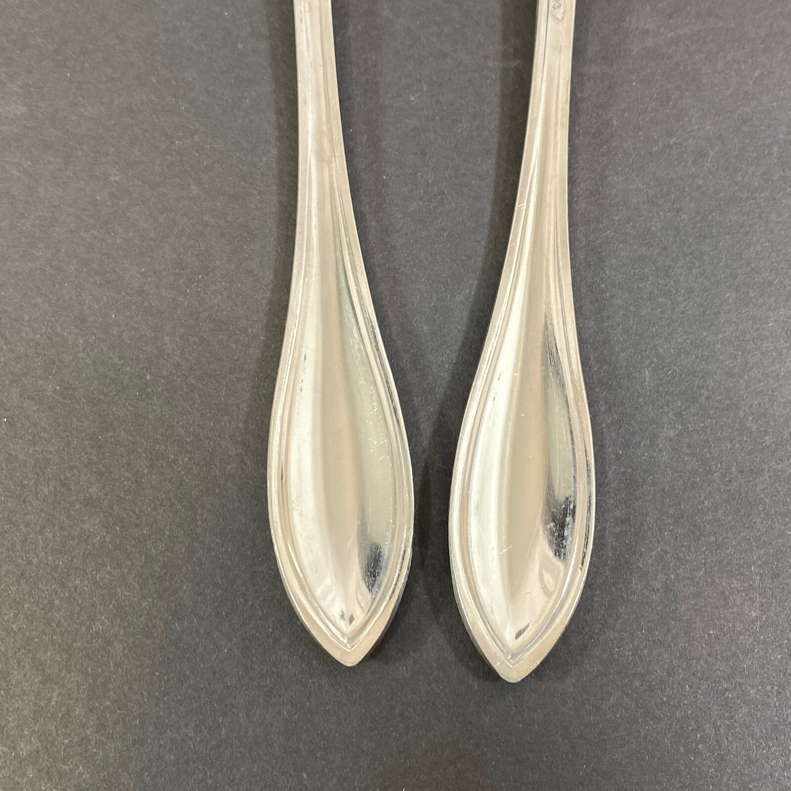 Oneida Arbor-American Harmony Stainless Flatware 2 Serving Spoons