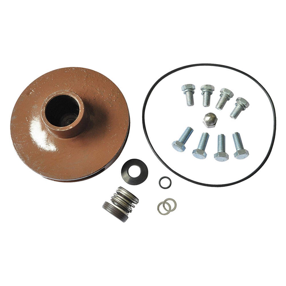 DAYTON 21TH13 Pump Repair Kit,For 2ZXK2,2ZXK3 21TH13