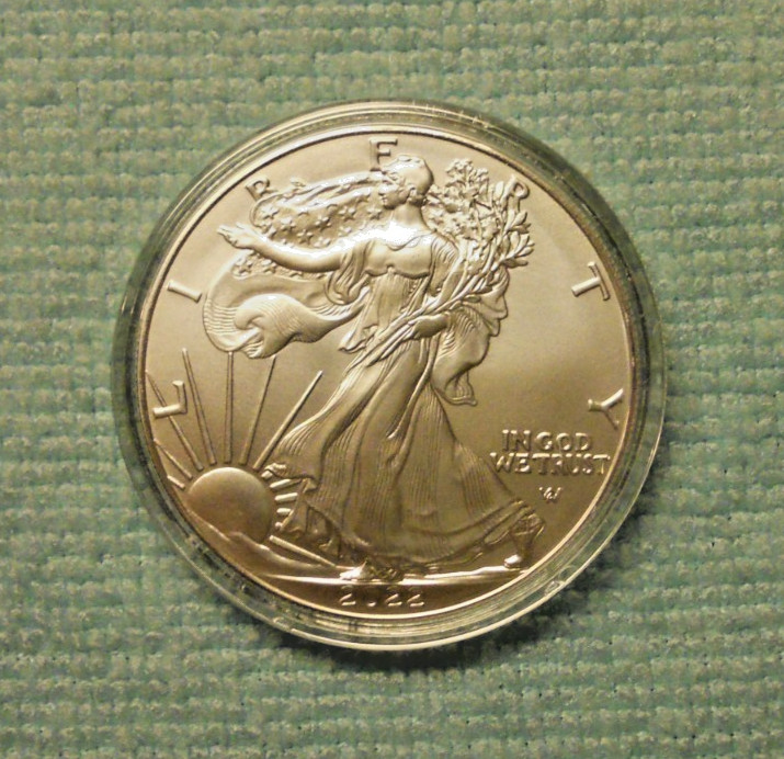 2022 American Silver Eagle 1 Oz Brilliant Uncirculated Coin Encapsulated