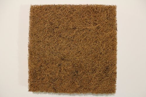 24 Pack Root ON Royal Coco Mat 8'' x 8'' x .5' SAVE $$ W/ BAY HYDRO $$