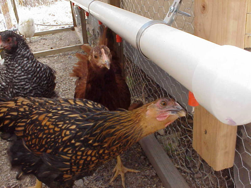 Push In Style Chicken Waterer Nipple make your Own SAVE