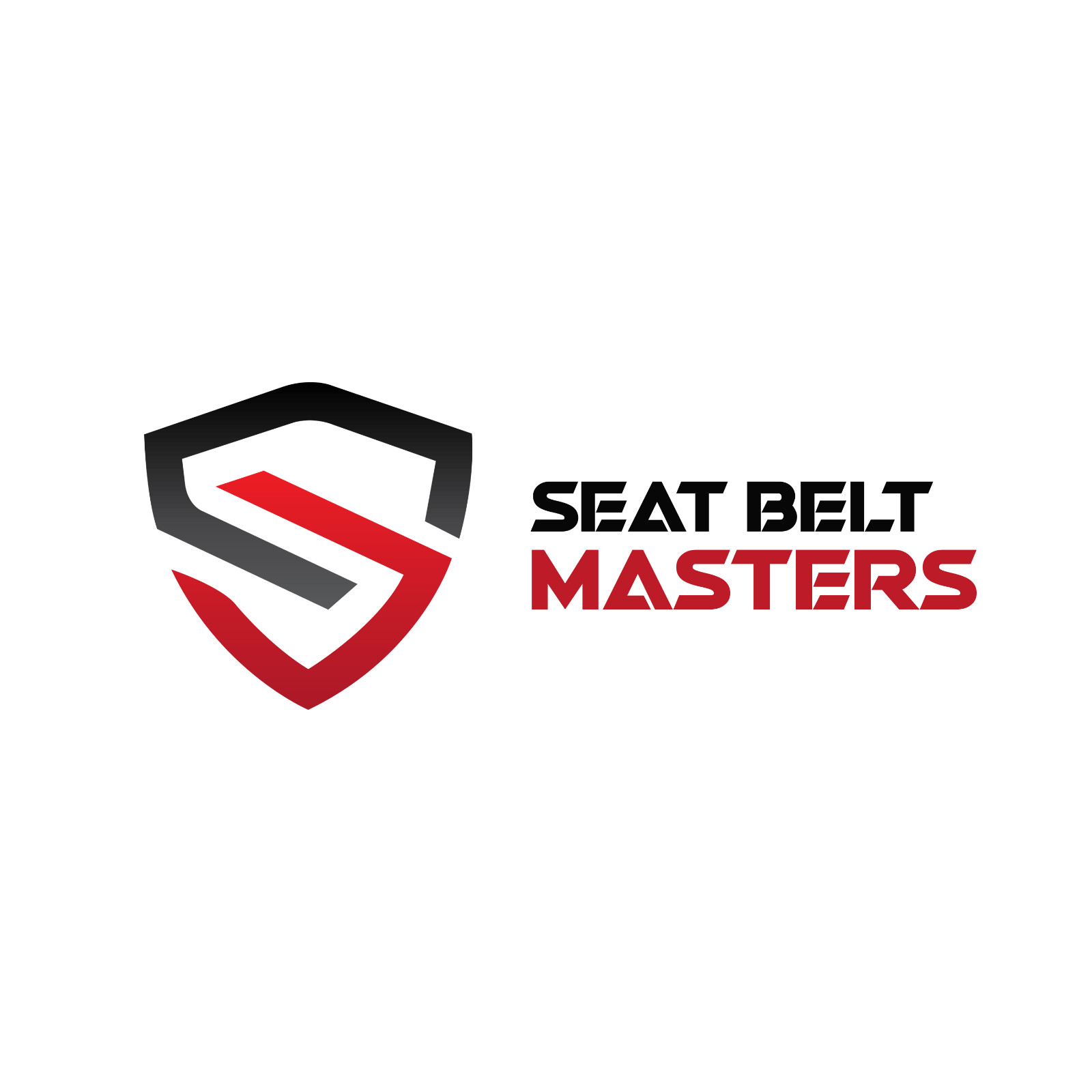 SEAT BELT DIAGNOSTICS FEE - SINGLE
